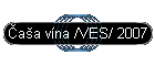 aa vna /VES/ 2007