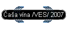 aa vna /VES/ 2007
